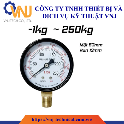 Đồng Hồ Đo Áp Suất LiGi